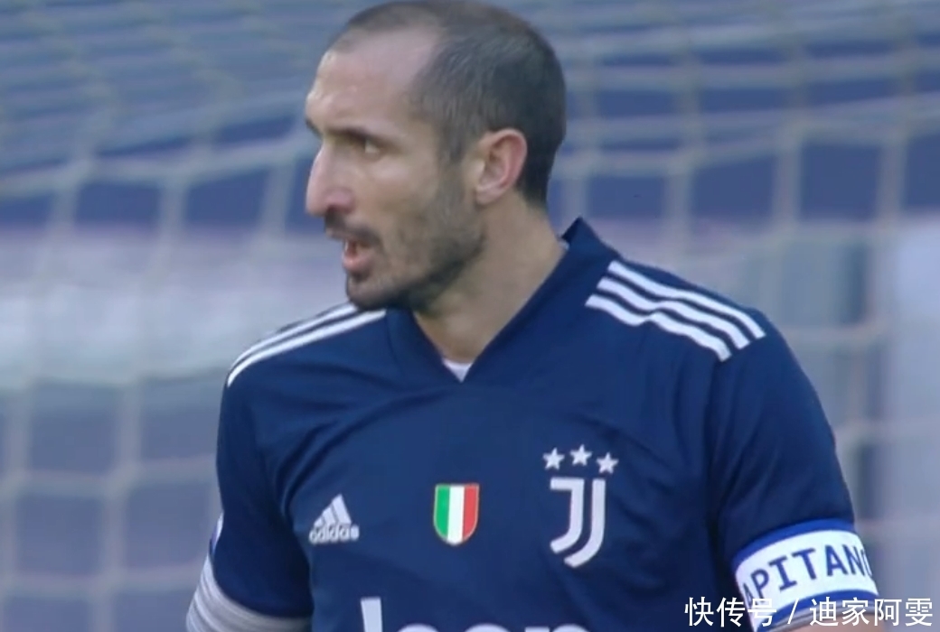 他们不仅会 他们不仅会