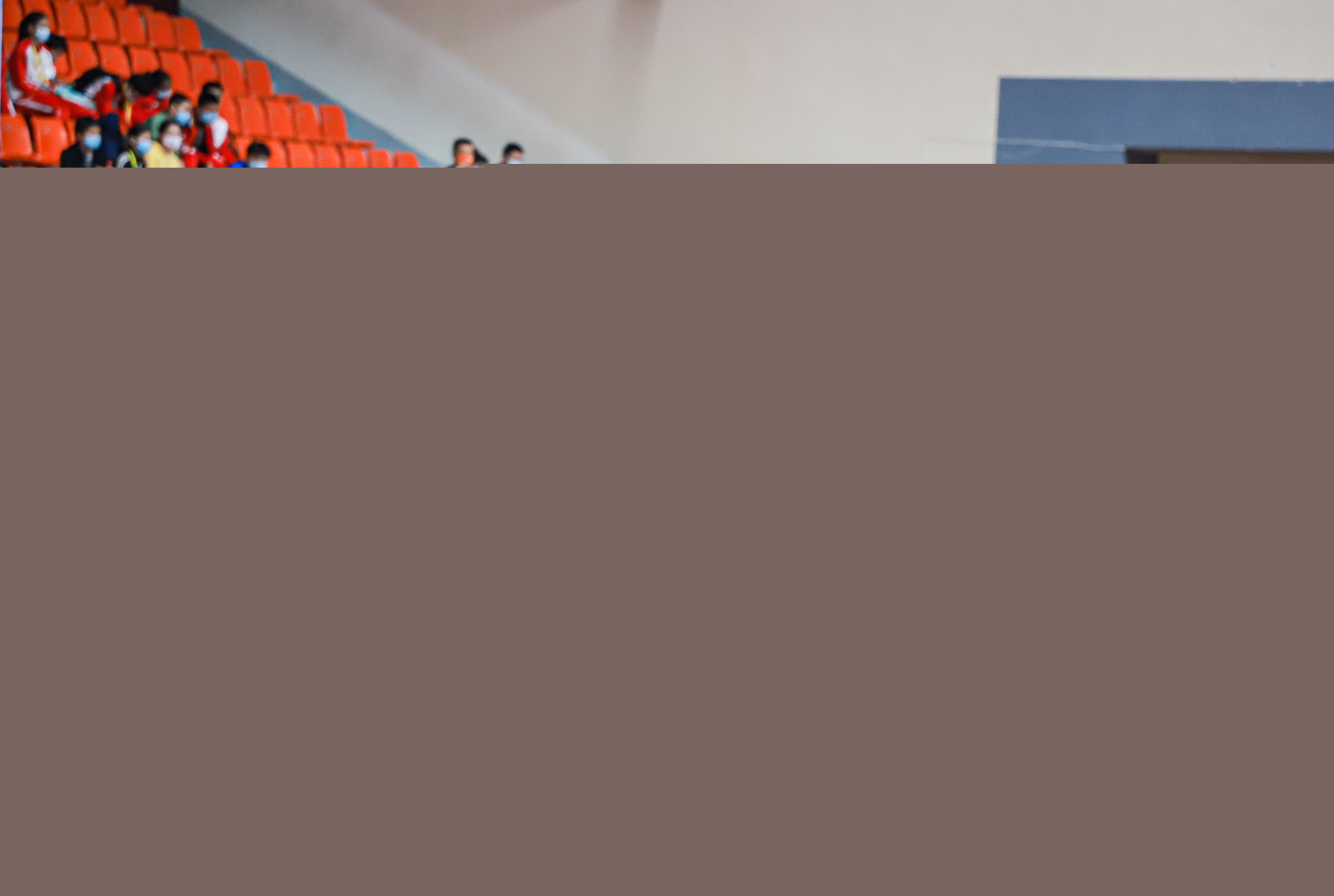 日耳曼的比 日耳曼的比